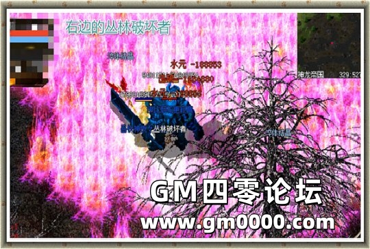 d3.jpg