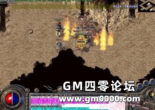 d3.jpg