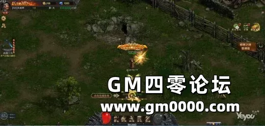 d3.jpg