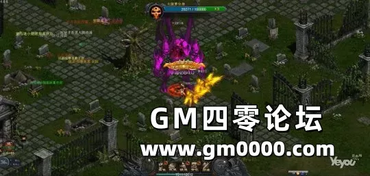d5.jpg