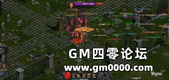 d4.jpg