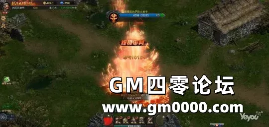 d6.jpg