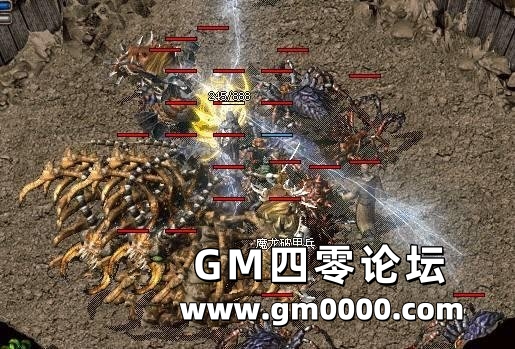 d3.jpg