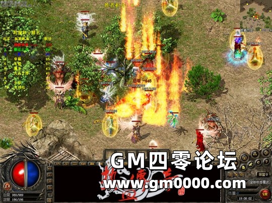 d5.jpg