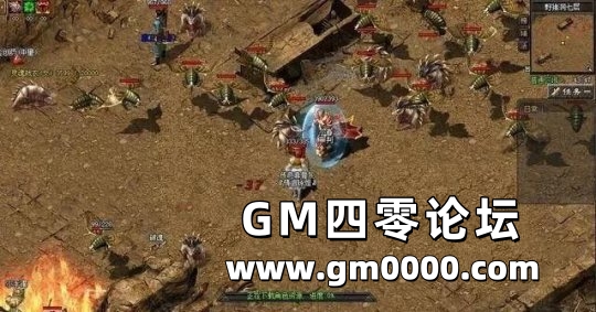 d4.jpg