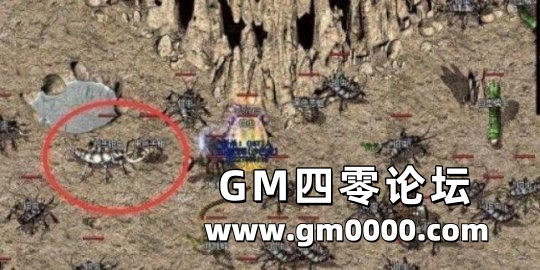 d4.jpg