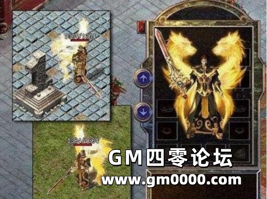 d3.jpg