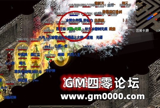 d4.jpg