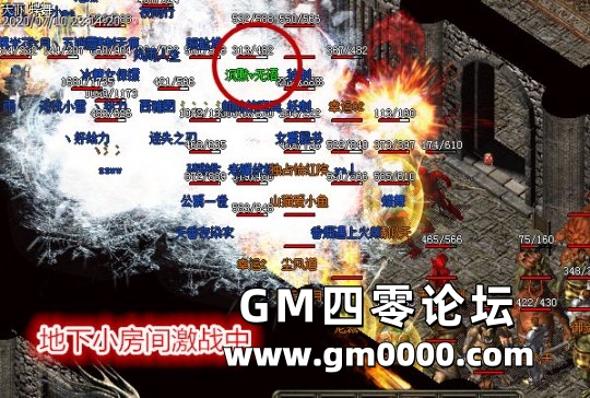 d1.jpg