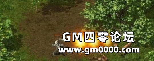 d3.jpg