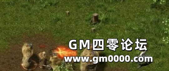 d4.jpg