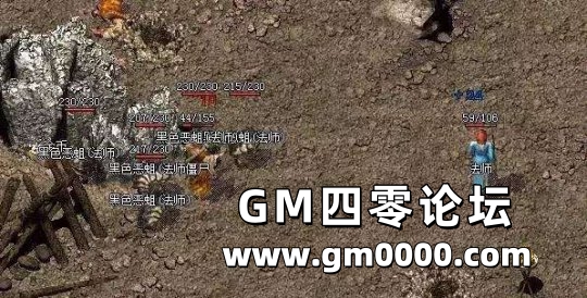 d3.jpg