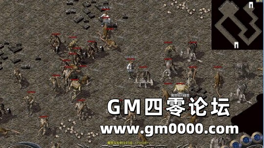 d4.jpg