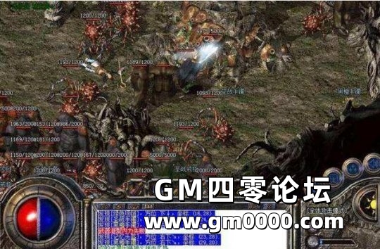 d3.jpg