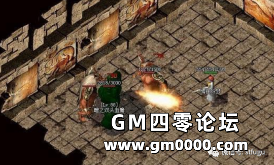 d3.png