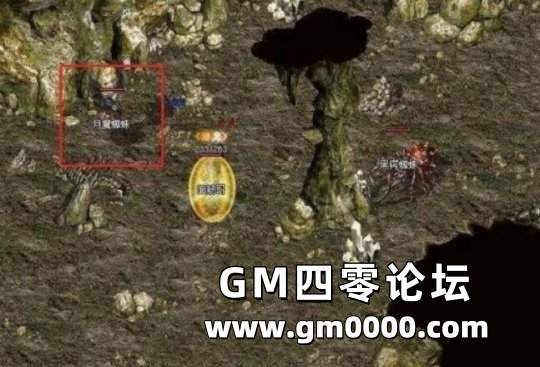 d1.jpg