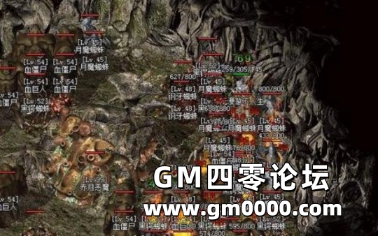 d3.jpg