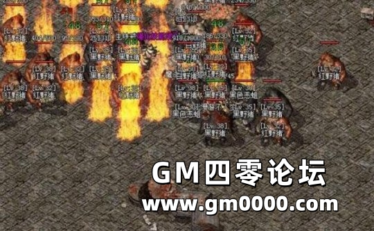 d4.jpg