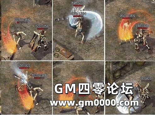 d2.jpg