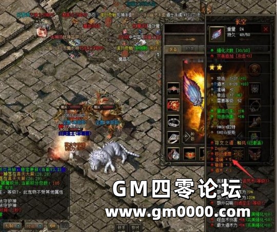 d3.jpg