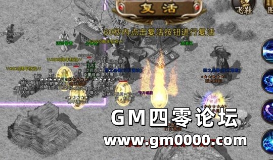 d3.jpg
