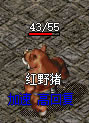 d16.jpg