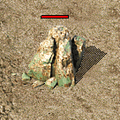 d3.gif