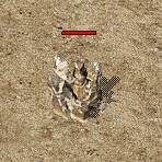 d2.gif