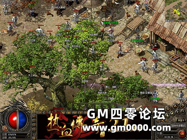 d5.jpg