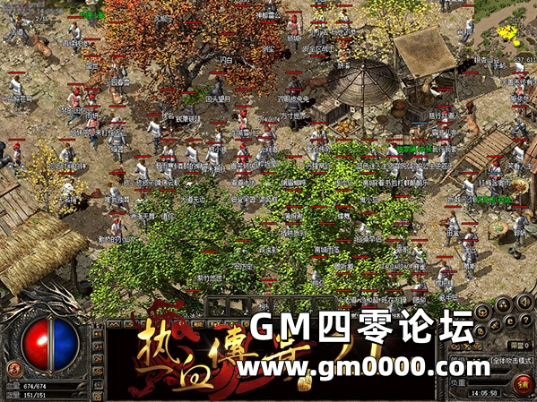 d5.jpg