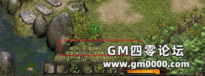 d5.jpg