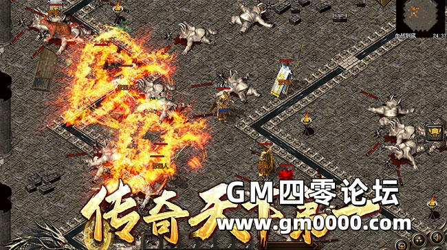 d4.jpg
