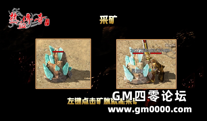 d3.jpg