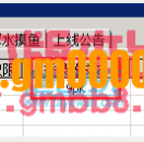传奇版本G盾盘古PG插件读取登录器自定义文本功能