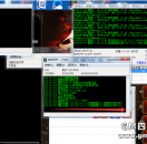 翎风黑屏 网关提示踢除链接:IP(127.0.0.1)信息数量(1)数据包长度(227)