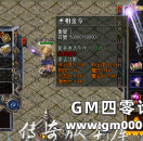 BLUE引擎/LEGEND引擎护身符位置装备DB代码