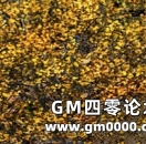 《热血传奇》193区新区盛况一览！